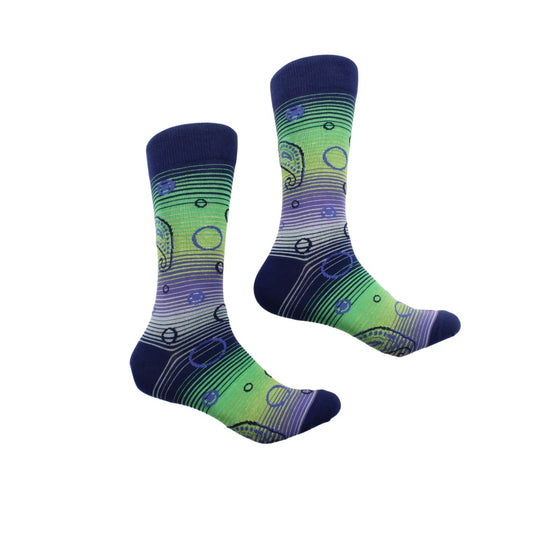 Kuwait 2 | Navy & Green Paisley | Sock