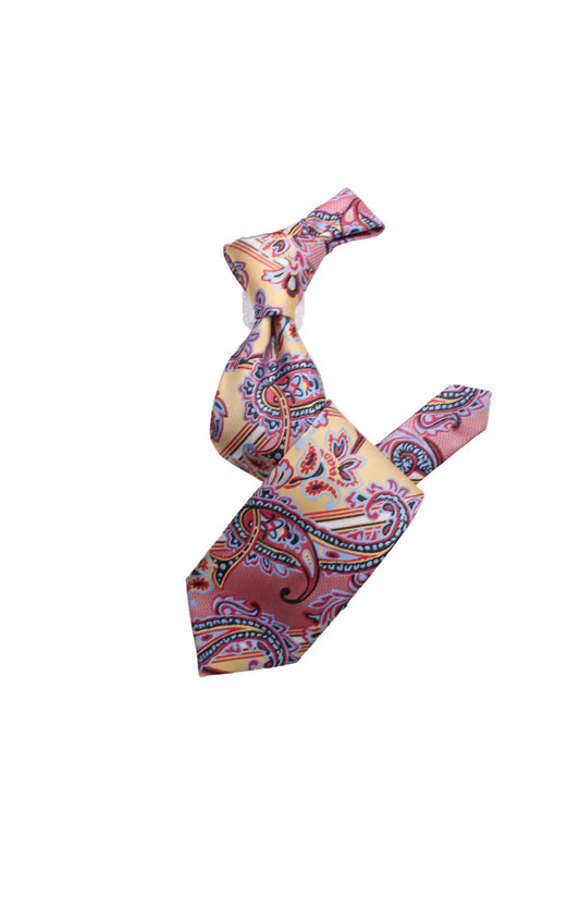 Krazy Paisley C5 | Champaign Red & Sky Blue | Tie & Pocket Sqaure