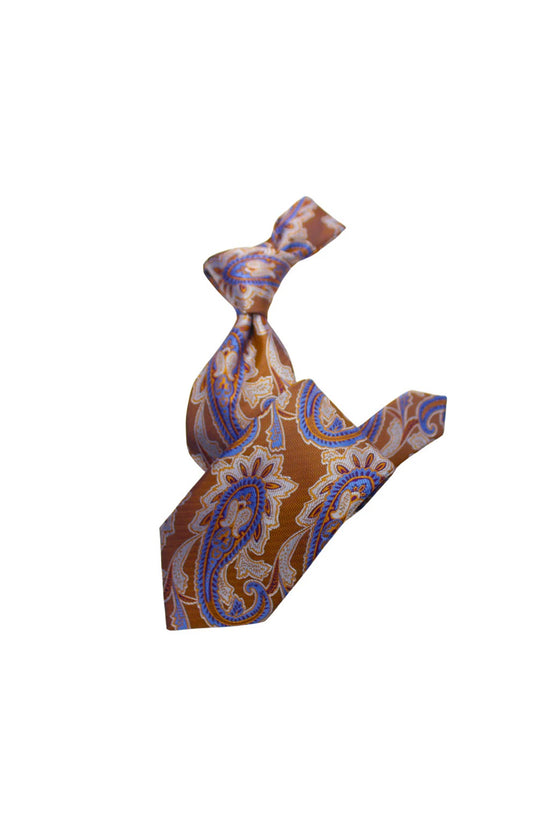 Krazy Paisley i5 | Carmel & Blue | Tie & Pocket Sqaure